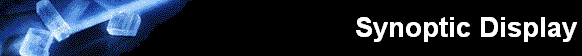 Synoptic Display